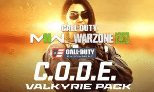 خرید باندل Endowment Valkyrie Pack وارزون 2 - پیدو گیم