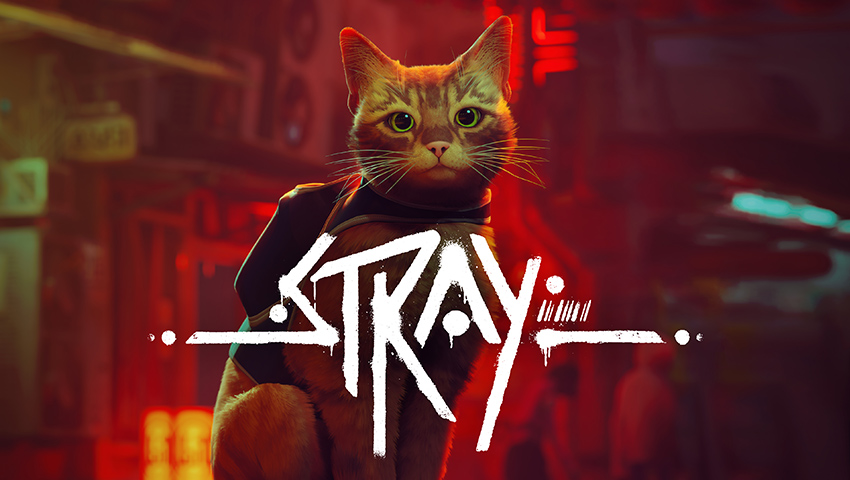خرید بازی Stray برای کامپیوتر - پیدو گیم